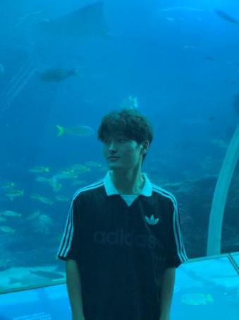 Yulong Yang